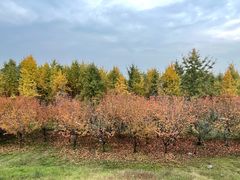 -渭河城市绿地运动公园