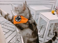 -白夜2D咖啡馆