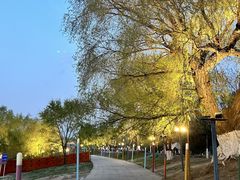 -长白岛森林公园