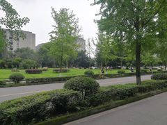 -四川大学(望江校区)