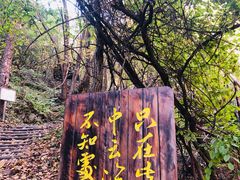-龙道沟景区
