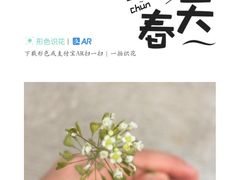 -前小桔亲子创意农场·草莓采摘·露营烧烤