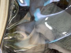 -瑞派伍一宠物医院·眼科·骨科·猫科转诊中心(马王堆院)