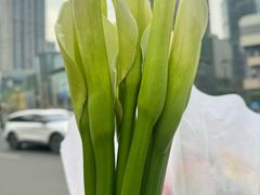 -循礼门鲜花花市(武汉循礼门店)