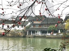 -运河游船(武林门码头)