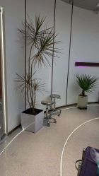 -In Style Hair Salon
