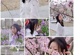 -白塘生态植物园