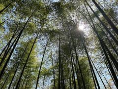 -宝岩生态观光园