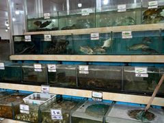 -秋姐美食店(旅游大道店)