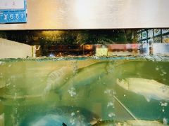 -红樽舫湖州菜.湖景餐厅(太湖渔人码头店)