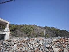 -上海佘山国家森林公园天马山园