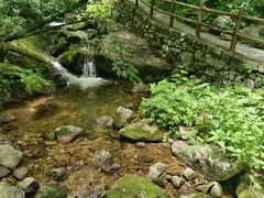 -青峰峡国家森林公园