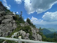 -牛背梁国家森林公园