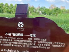 -洋湖国家湿地公园