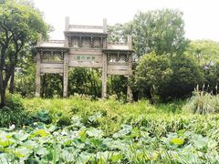 -西溪国家湿地公园