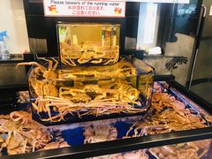 -蟹道乐(道顿堀本店)