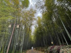 -苏州环秀晓筑养生度假村