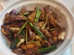 -陶缘一号·四季缘·老字号顺德菜·户外婚礼家宴(西滘店)