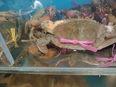 -辣盆盆麻辣小龙虾(哈尔滨总店)