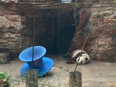 -石家庄市动物园