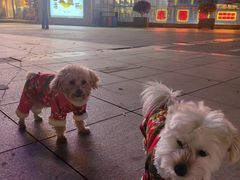 -汉森熊啤酒屋(雨耕山店)