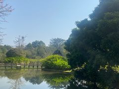 -中国科学院西双版纳热带植物园