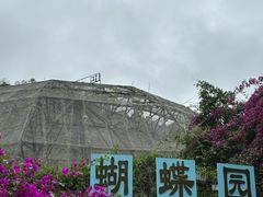 -野象谷景区