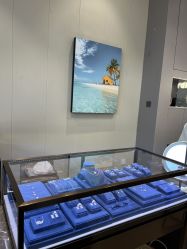 点击看大图 -Cindy Jewelry·钻戒·彩色宝石
