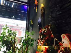 -TiKi餐厅酒吧