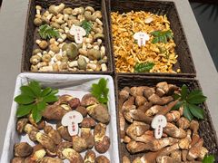 -蘑界·野生菌火锅(深业上城店)