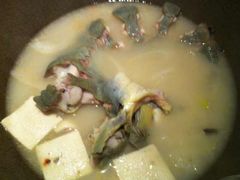 -咕嘟草帽鱼·牛奶一样的鲜鱼汤(包河万达广场创始店)