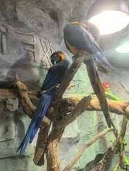 -Zoolung Zoolung动物主题公园(海信广场店)