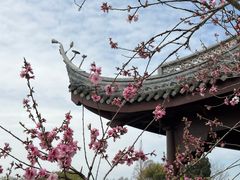 -无锡蠡湖国家湿地公园-蠡园