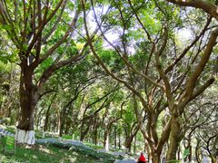 -龙头寺公园