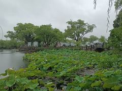 -无锡蠡湖国家湿地公园-蠡园