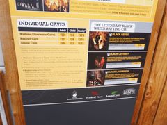 -怀托摩萤火虫洞