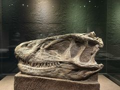 -自贡恐龙博物馆