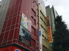 -秋叶原电器街