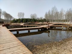 -东郊湿地公园