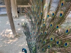 -罔极寺