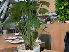 -Jazz·ya 爵士屋(来福士店)