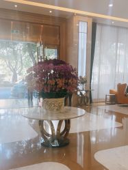-广州曙光医学美容医院