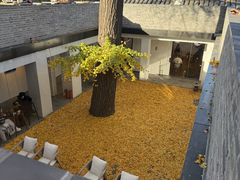 -自如ZSPACE四合院艺术餐厅