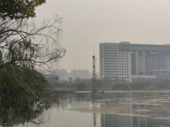 -金银湖国家城市湿地公园