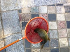 -酷鱼垂钓CLUB(朝阳区博大路店 )