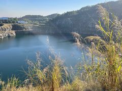 -黄埔油麻山森林公园