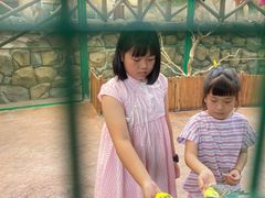 -杭州开元森泊度假乐园