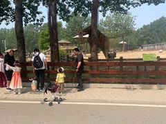 -大连森林动物园