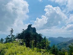 -朱雀国家森林公园