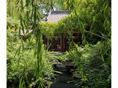 -趵突泉景区